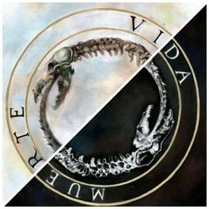 Meet your Posher, Alexander